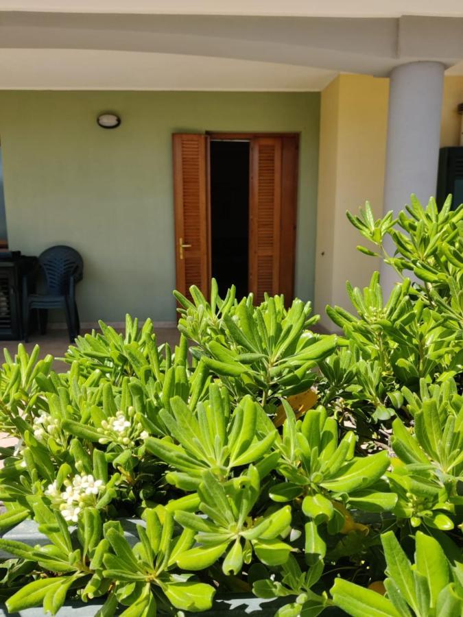 Appartamento Da Carlo 2 Alghero Eksteriør bilde